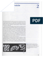 Capítulo 2 Introduction of Protein Structure