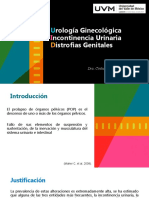 Urología Ginecológica