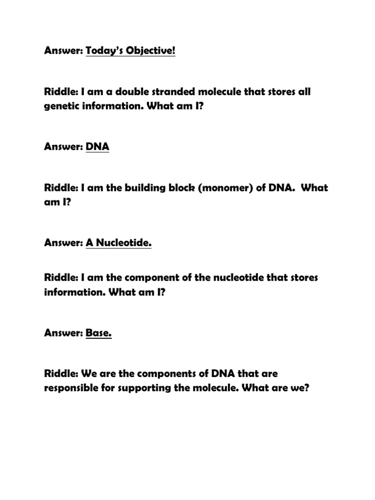 Riddles! | PDF