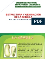 La Semilla y Sus Partes