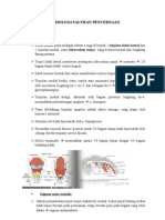 Case1 - Embrio GIT