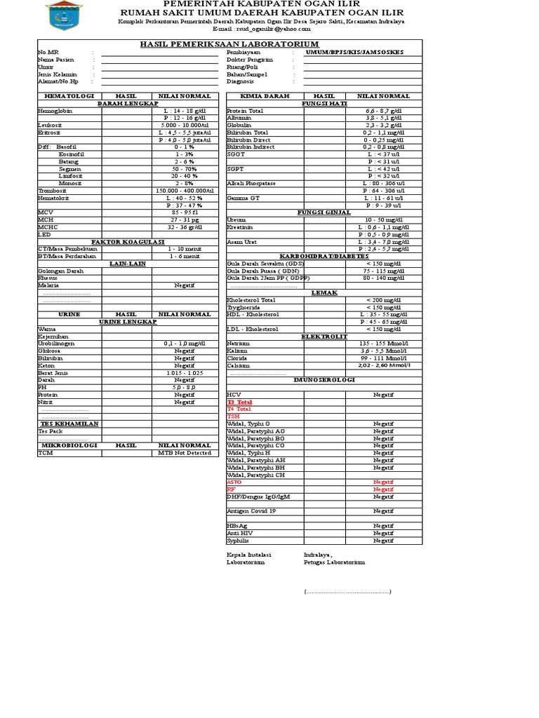 Lembar Hasil Pemeriksaan Lab Rsud Oi 2022 Profil | PDF