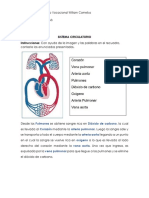 Sistema Circulatorio