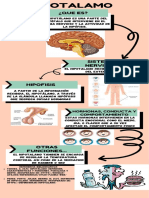 INFOGRAFIA