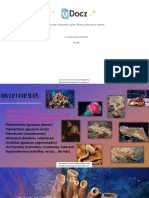 Invertebrados PDF Parte1 187553 Downloable 1403514