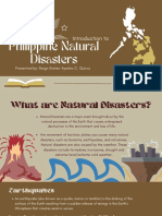 Natural Disasters in The Philippines