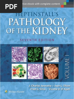 Heptinstalls - Pathology.of - The.kidney LW&W 2015 | PDF | Kidney