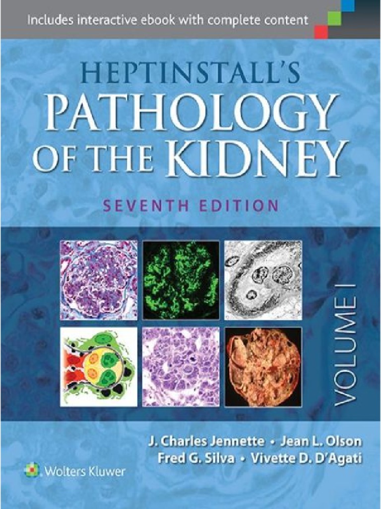 健康・医学 HEPTINSTALL'S PATHOLOGY of the KIDNEY Amazon | Heptinstall's Pathology of the Kidney | Jennette MD