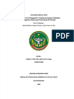 PDF Analisis Jurnal Pico HDR Maria Lusia Fa DL