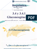 Gluconeogenesis