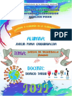 Indice de Desarrollo Humano - Poma Chuquihuaccha Joselin