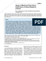 Transcriptome Analysis Salvia