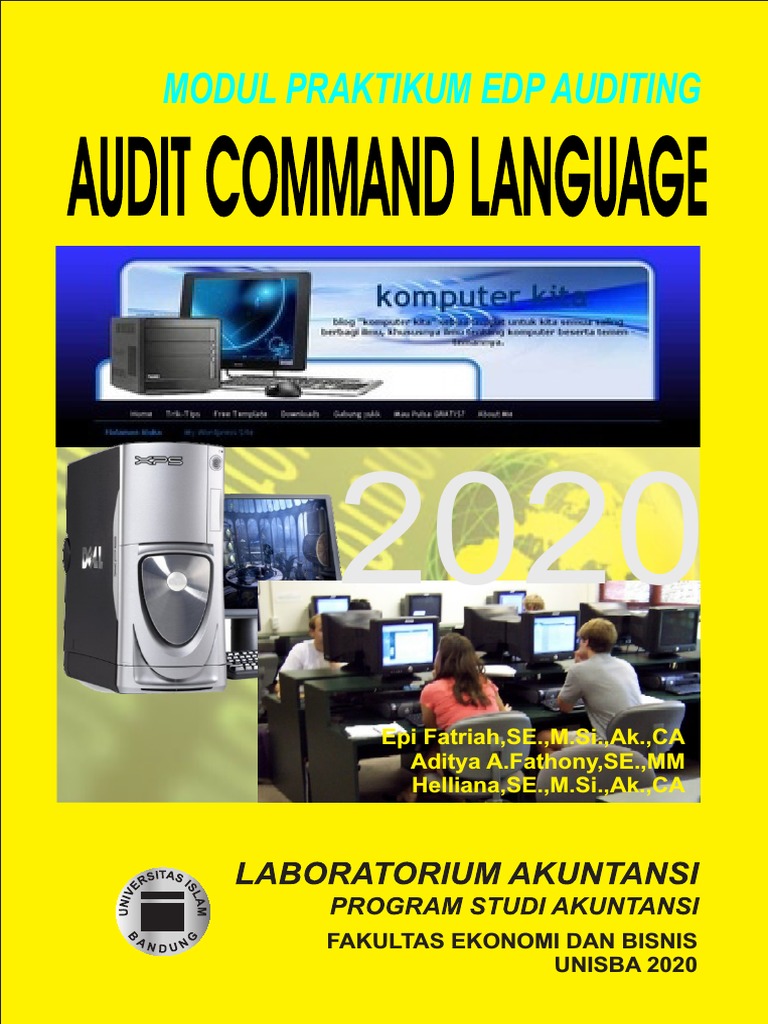 Dasar-dasar Audit Command Language | PDF