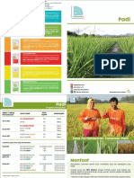 Brosur Program Pemupukan Padi Ss Ammophos + Urea + KPB + KKB