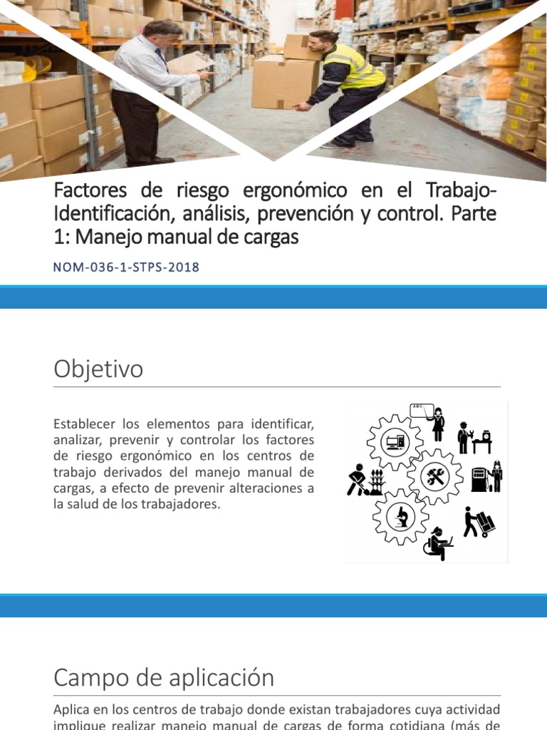 Riesgos Ergonómicos en Manejo de Cargas | PDF | Factores humanos y ...