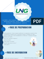 Proyecto Pensamiento Critico