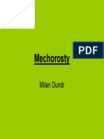 Dundr - Mechorosty