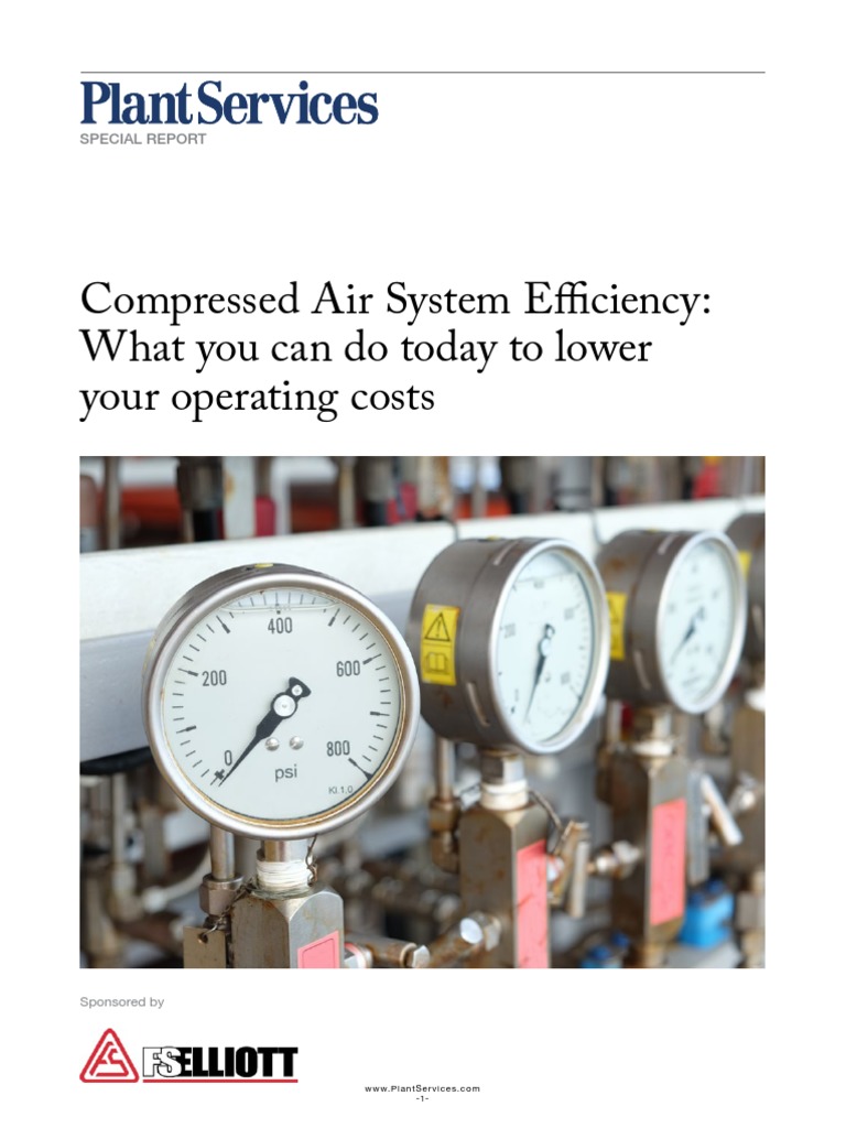 Compressed Air System Efficiency PDF Engines Gases