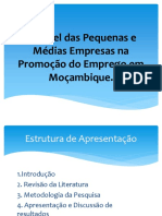 Apresentação PMes em Moçambique e o Emprego