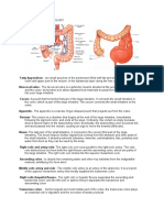 Anatomy and Physiology Hirschsprung