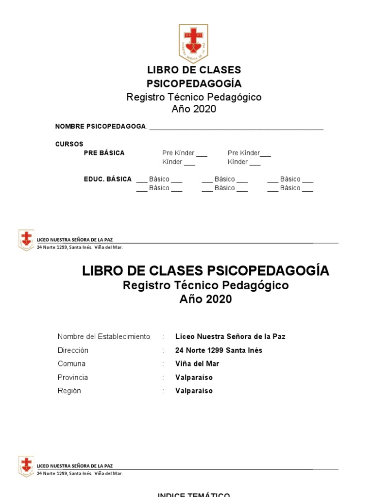 Registro Psicopedagógico 2020 | PDF | Teoría de la educación | Enseñando