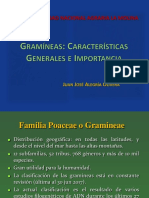 Gramíneas - 2017 B