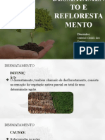 Desmatamento e Reflorestamento