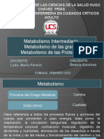 Metabolismo Intermeiario