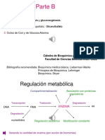 Seminario de Glucidos I - Parte B