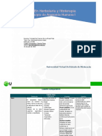 Cuadro Comparativo Cabeza Osea