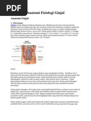 Download 940 Gambar Fisiologi Ginjal Keren 