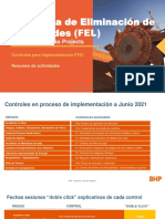 Programa FEL - HSE