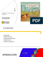 Clase 5 - Sol No Lineales II