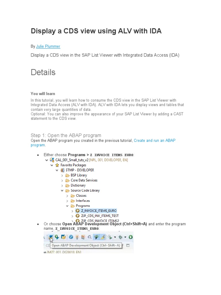 Display CDS View with ALV and IDA | PDF | Information Age | Computer ...