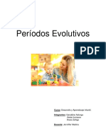 Periodos Evolutivos