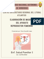 Maqueta Del Aparato Reproductor Femenino