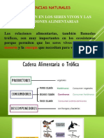 Ciencias Naturales - Sexto Grado