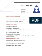 Curriculum Gerente de Produccion