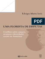 Dissertacao Uma Floresta de Disputas - Edviges Marta Loris