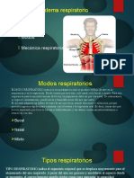 Respiracion Powerpoint