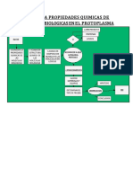 Diagrama Propiedades Quimicas de Moleculas Biologicas en El Protoplasma