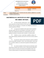 ACTIVIDAD EXTRACLASE N10 Ambiental