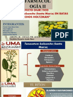 PROYECTO DE INVESTIGACION GRUPAL 