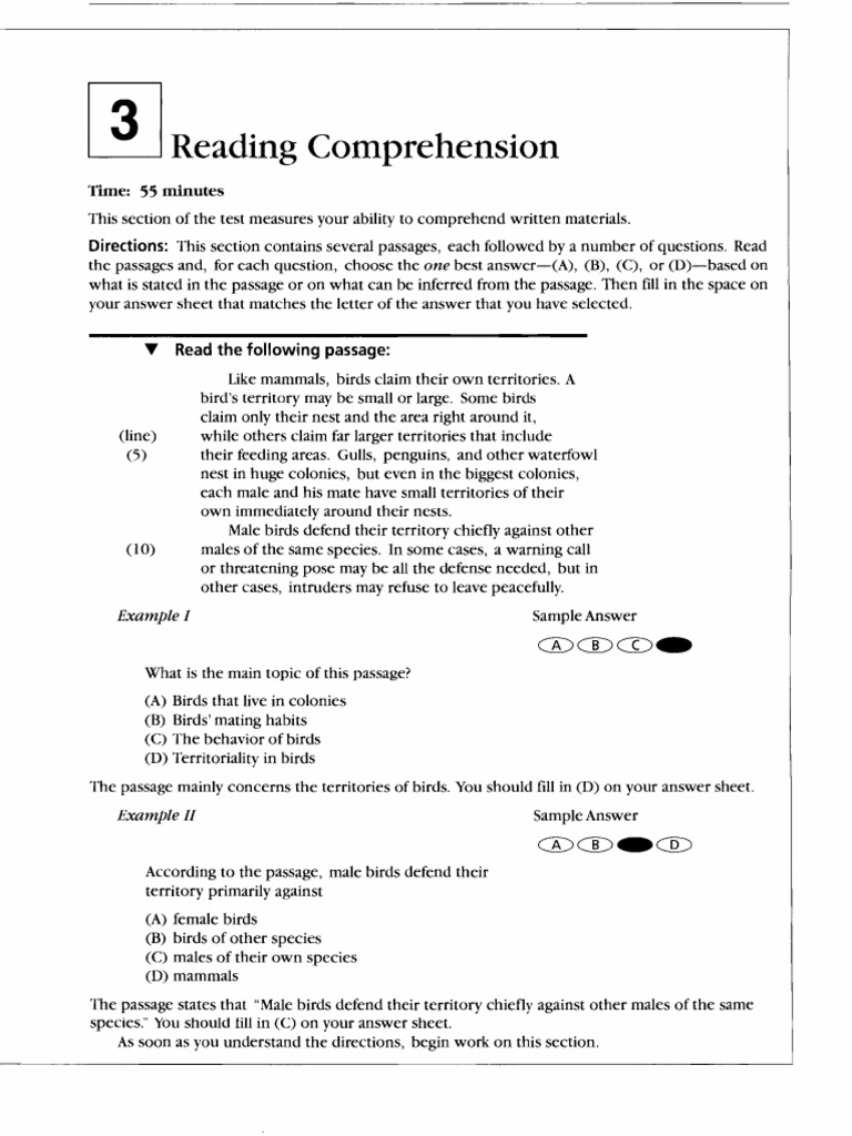 Reading Comprehension | PDF