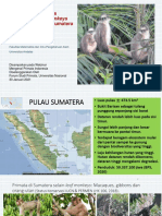 Presbytis Pulau Sumatera