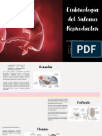 Linea Del Tiempo-Embriologia Del Sistema Reproductor