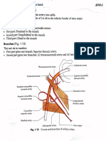 Branches of Axillary Artery