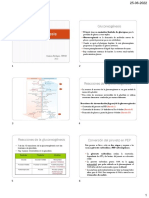 Gluconeogénesis y Vía de Las Pentosas Fosfato