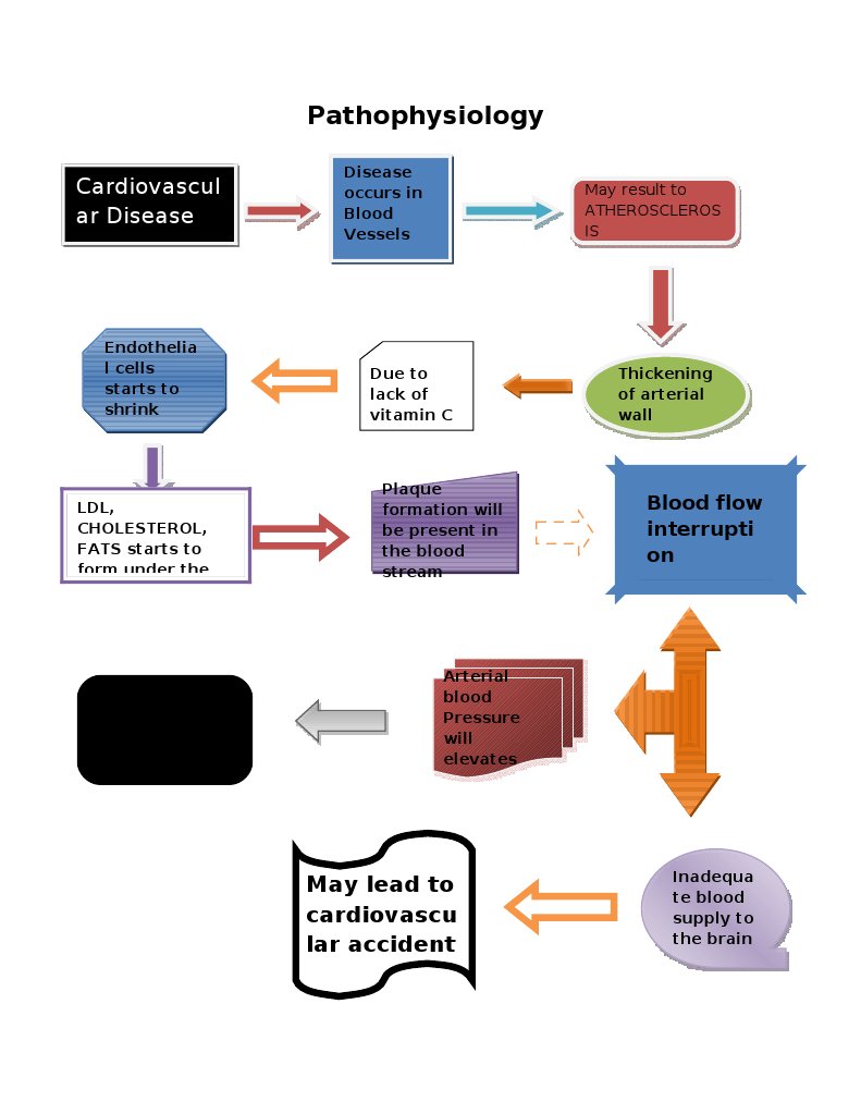 Pathophysiology: Cardiovascul Ar Disease | PDF | Wellness | Science ...