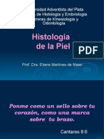 Histología de la piel: componentes, estructura y funciones en